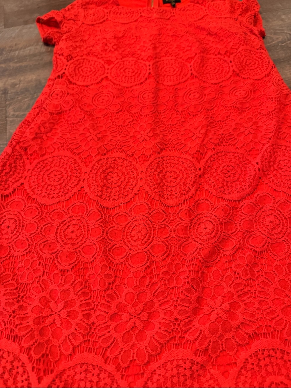 Laundry by Shelli Segal Lace Sheath Dress Size 6 Coral Red Scalloped Hem - Picture 2 of 8